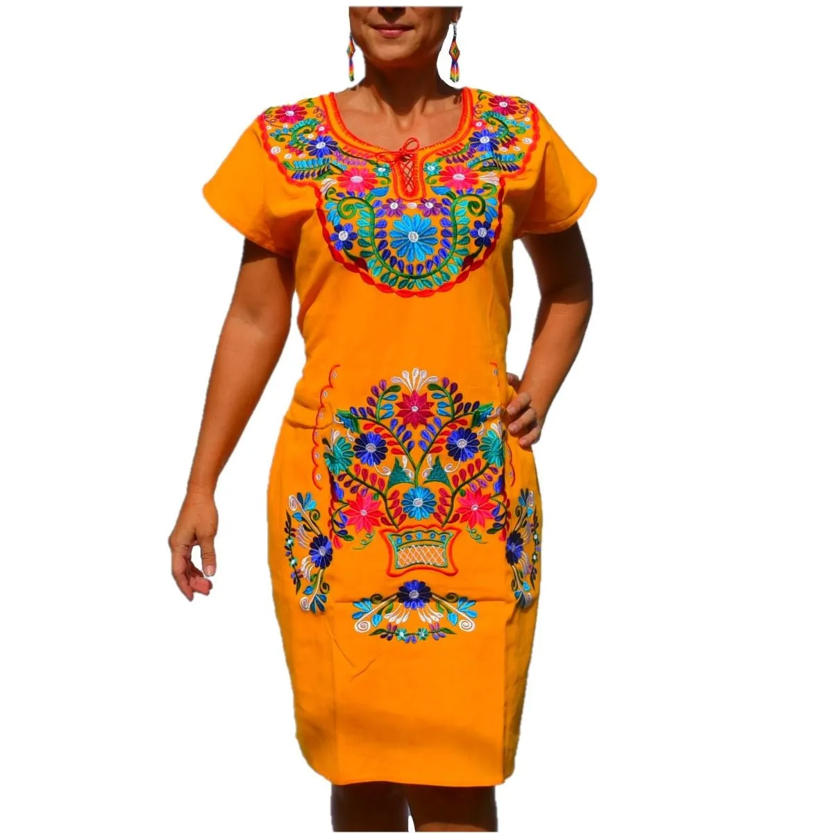 Embroidered Dress NA-TM-77121-Y
